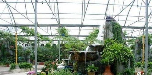 華東地區(qū)最大的農(nóng)業(yè)生態(tài)觀光園 豐樂生態(tài)園