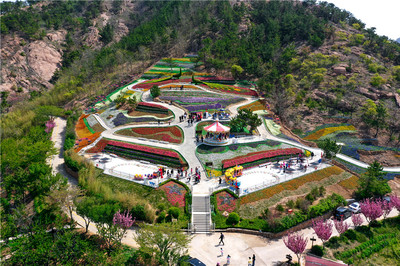 免費游花海！第三屆青島花卉博覽會今日在生態(tài)園盛大啟動