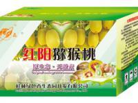 桂林綠色香生態(tài)園 山水間的生態(tài)綠洲，可持續(xù)發(fā)展的文旅新名片