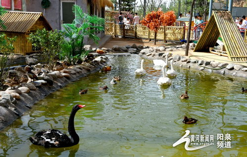助力冬奧丨華北奕豐生態(tài)園戲雪樂園即將開園，生態(tài)旅游與冰雪運(yùn)動(dòng)完美融合