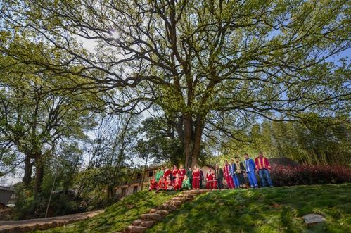 浙江擘畫詩路文化新藍(lán)圖 九市聯(lián)動(dòng)，生態(tài)為基，打造中華文脈傳承創(chuàng)新帶