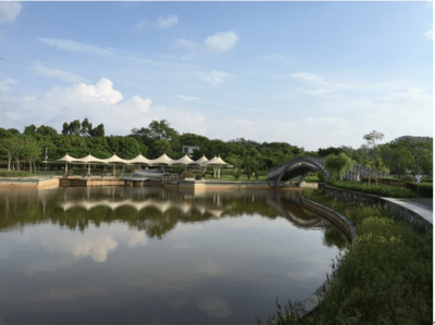 東進(jìn)下的坪山，你還認(rèn)識(shí)嗎？探秘生態(tài)園新篇