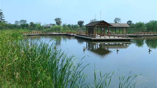 國慶樂游 上海出發(fā)，千燈古鎮(zhèn)與大唐生態(tài)園一日探幽之旅